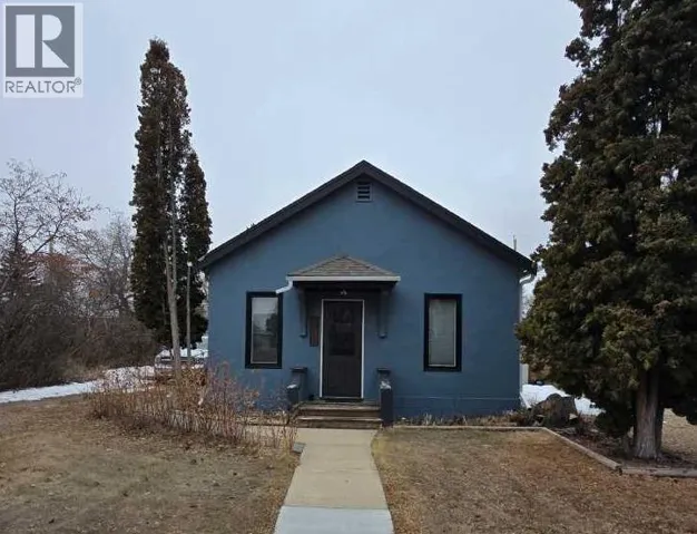 5013 49 Street, Sedgewick, Alberta T0B4C0