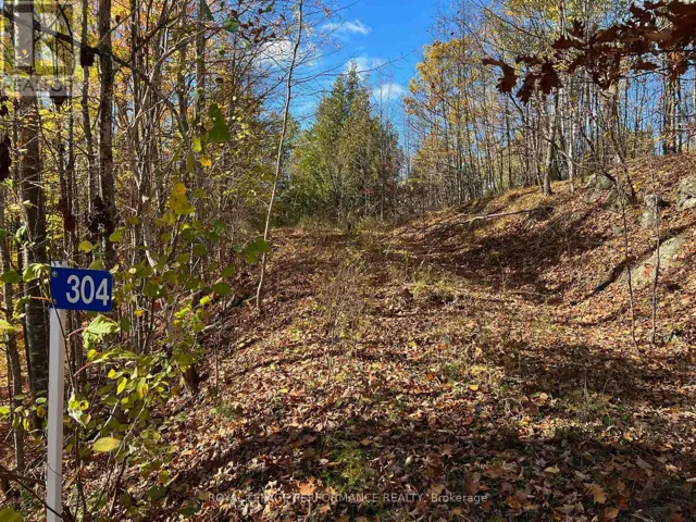 304 LACOURSE LANE, Lanark Highlands, Ontario K0A3L0