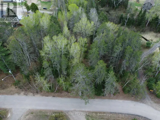 PTLT 177/8 MURRAY PARK STREET, Madawaska Valley, Ontario K0J1B0