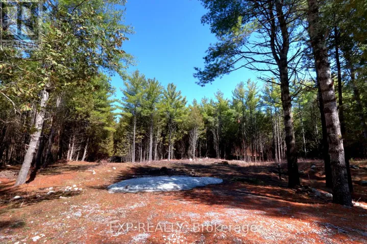 593 COUNTY 40 ROAD, Douro-Dummer, Ontario K0L2V0