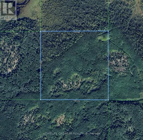 PCL 18819 TOVELL, Lake of the Woods, Ontario P0W1K0