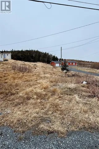 48 Old Settlement Hill, Freshwater, Newfoundland & Labrador A0B1W0