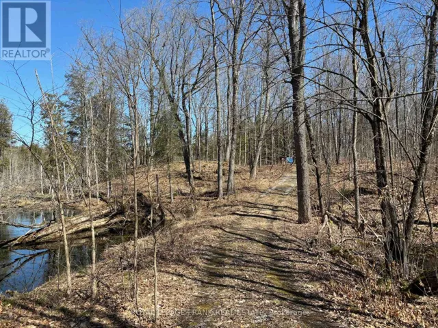 185 JULIAN LAKE ROAD, North Kawartha, Ontario K0L3E0