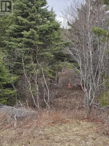 25-1 Middle River Road, Rocklin, Nova Scotia B0K2A0