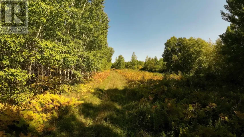 PCL 46-3 GOVERNMENT RD, RAINY RIVER, Ontario P0W1L0