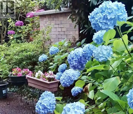 101 7231 ANTRIM AVENUE, Burnaby, British Columbia V5J5H5