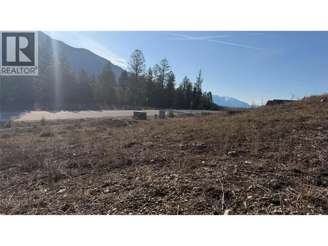 Lot 1 Cooper Road Lot# 1, Windermere, British Columbia V0B1L0