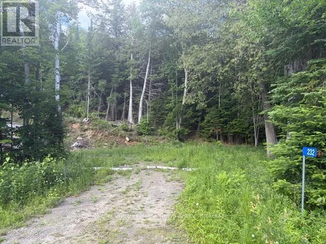 232 CLARKE ROAD, Highlands East (Cardiff Ward), Ontario K0L2A0