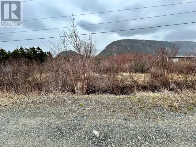 5 Harbourview Road, Lark Harbour, Newfoundland & Labrador A0L1H0