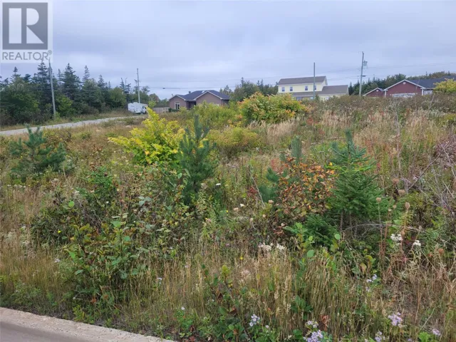 1 Ridgeview Avenue, Stephenville, Newfoundland & Labrador A2N0B7