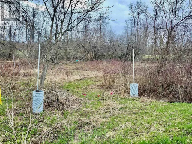 15448 NORTH LUNENBURG ROAD, South Stormont, Ontario K0C1R0