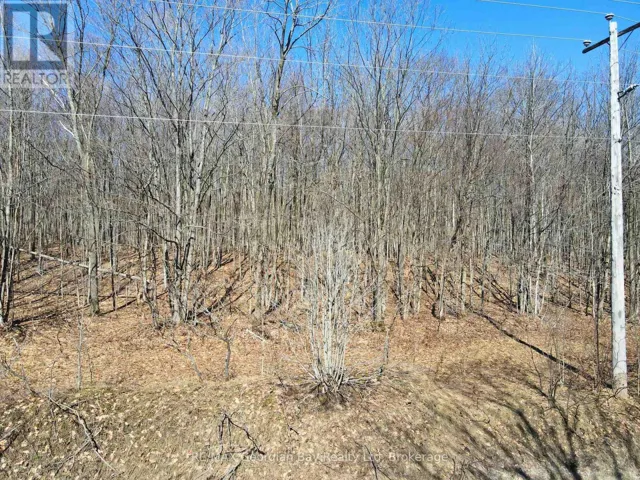 LOT 33 MACAVALLEY ROAD, Tiny, Ontario None