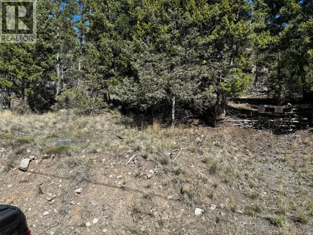 2971 Loon Lake Road, Cache Creek, British Columbia V0K1H0