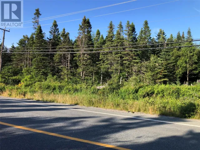 574 Conception Bay Highway, Holyrood, Newfoundland & Labrador A0A2R0