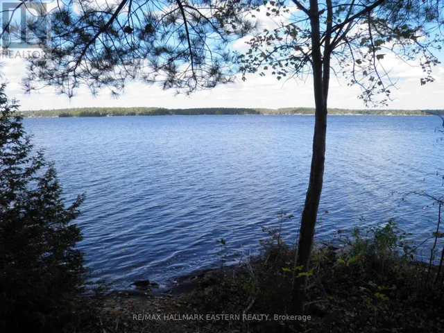 1420 ISLAND 76, Trent Lakes, Ontario K0L2H0