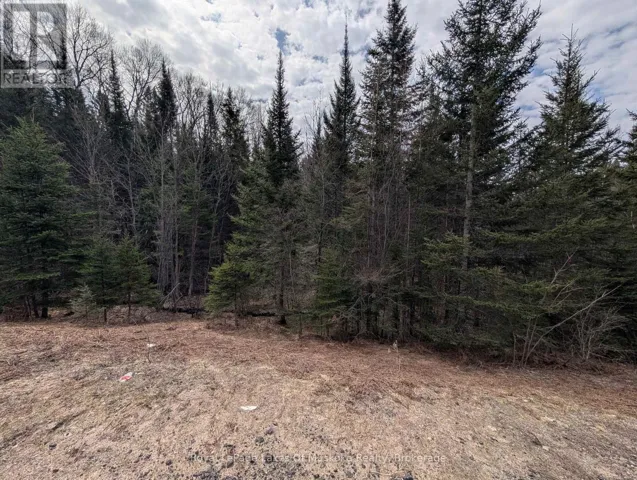 0 518 E HIGHWAY, Perry (Emsdale), Ontario P0A1J0