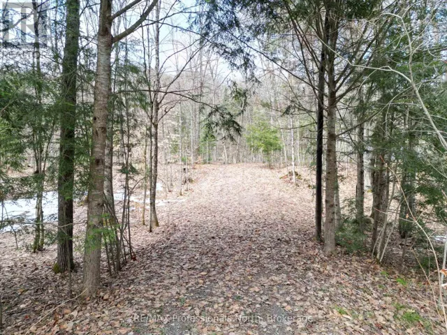 1231 BIG HAWK LAKE ROAD, Algonquin Highlands (Stanhope), Ontario K0M1J2