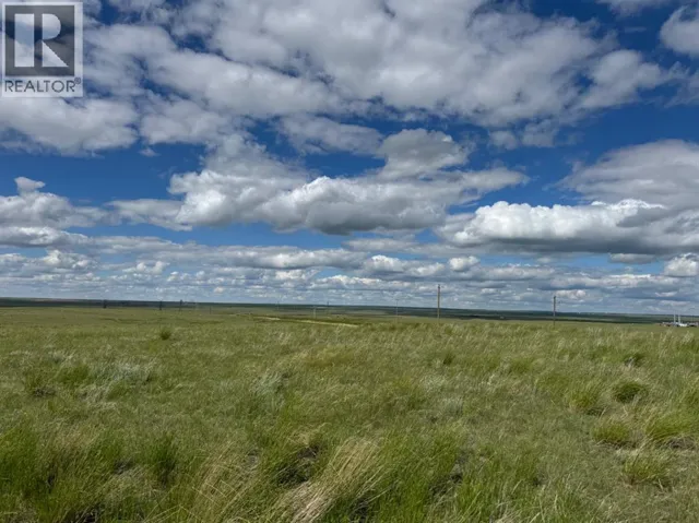 Range Road 43, Rural Cypress County, Alberta T1B4C7