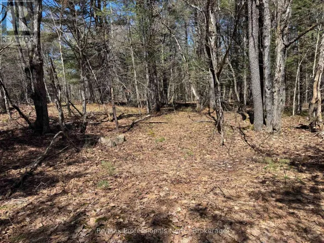 LOT 15 CON 2 DRAPER, Bracebridge (Draper), Ontario P1P1R3