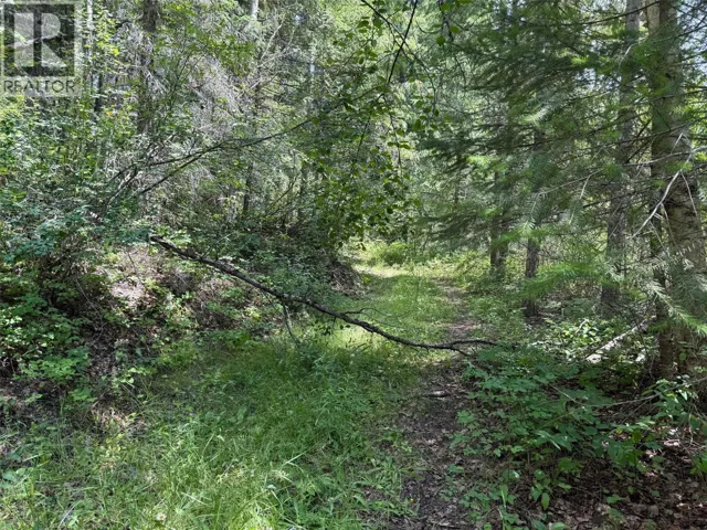 4069 East Barriere Lake Road, Barriere, British Columbia V0E1E0