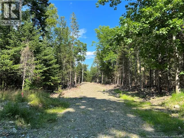 Hills Point Road, Oak Bay, New Brunswick E3L4J6