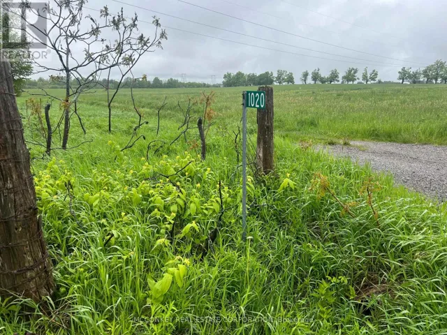 1020 LARMER LINE, Cavan Monaghan (Cavan Twp), Ontario K0L1V0