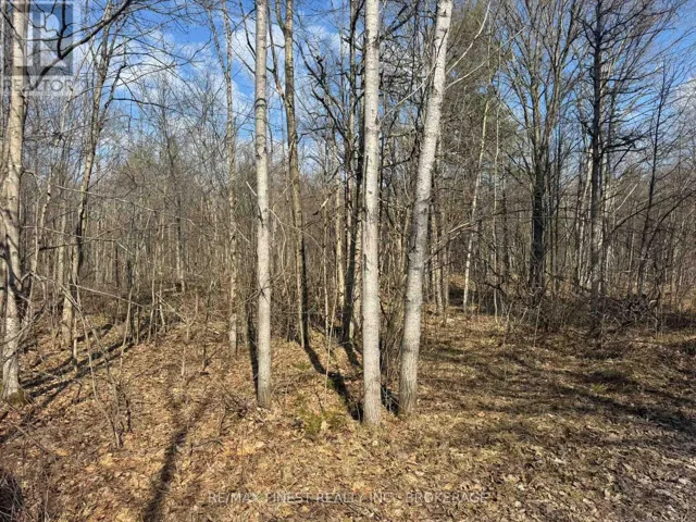 0 CALIFORNIA ROAD, Stone Mills (Stone Mills), Ontario K0K1Z0