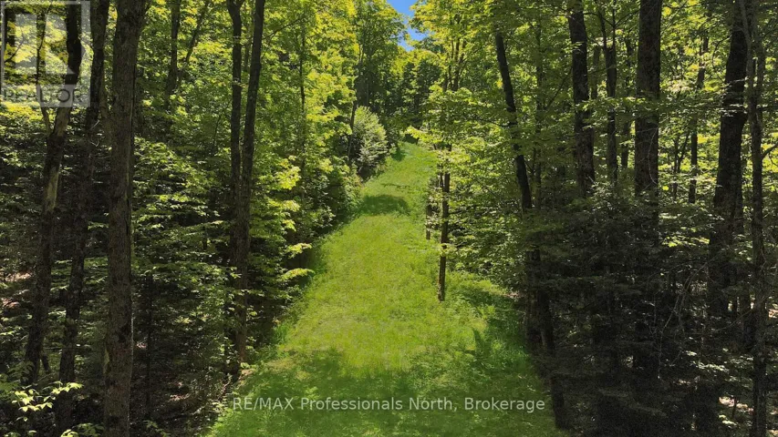 LOT 165 GLEN LAKE COURT, Dysart et al (Guilford), Ontario K0M1M0