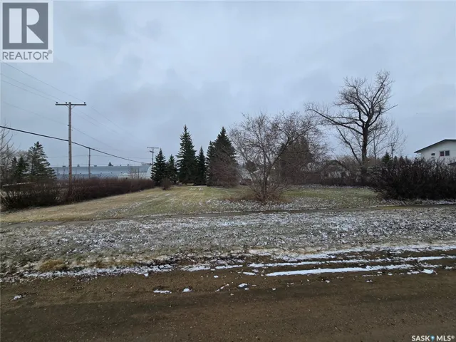 403 Assiniboia AVENUE, Sedley, Saskatchewan S0G0J8