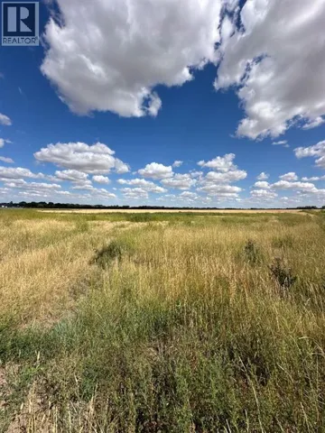 Lot 6, 12003 Range Road 60A, Rural Cypress County, Alberta T1A0H5