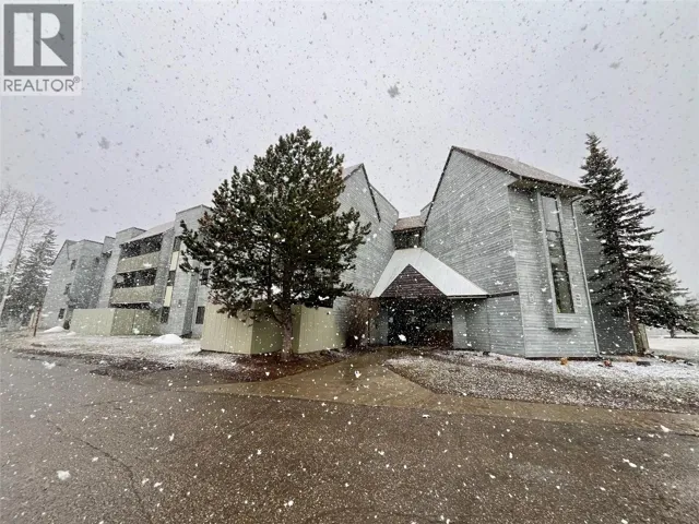 320 Northgate Road, Tumbler Ridge, British Columbia V0C2W0