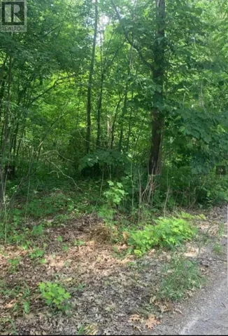LOT 12 SUTER DRIVE, Kawartha Lakes (Laxton/Digby/Longford), Ontario K0M1B0