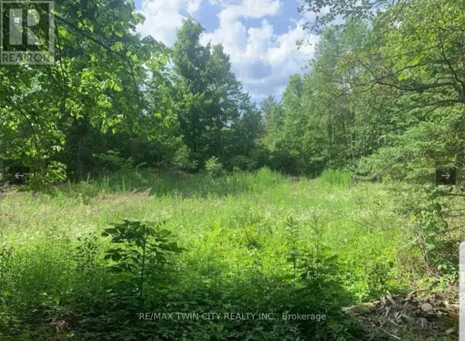 LOT 12 SUTER DRIVE, Kawartha Lakes (Laxton/Digby/Longford), Ontario K0M1B0