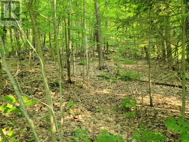 22 - 32 MOUNT VERNON TRAIL, Huntsville (Chaffey), Ontario P1H1E3