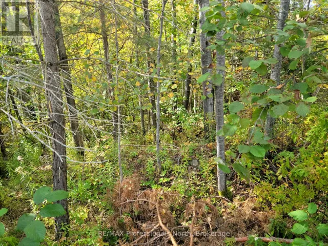 32 - 4 FOX RUN LANE, Huntsville (Chaffey), Ontario P1H1E3