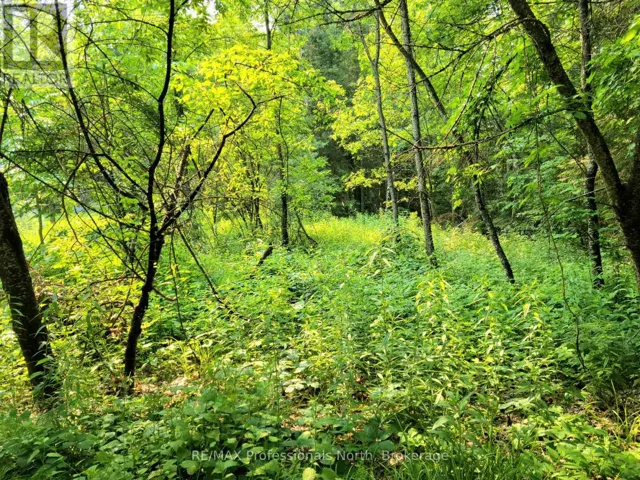26 - 35 MOUNT VERNON TRAIL, Huntsville (Chaffey), Ontario P1H1E3