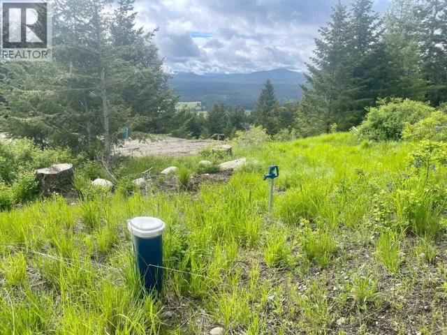1355 TIMBERWOLF Trail, Rock Creek, British Columbia V0H1N1