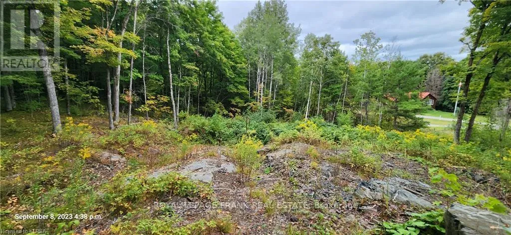 169 NORTHERN AVENUE, Trent Lakes, Ontario K0M1A0