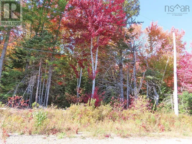 128.5 Acres West Side Road, West Side Country Harbour, Nova Scotia B0H1J0