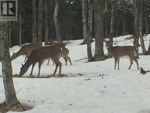 780