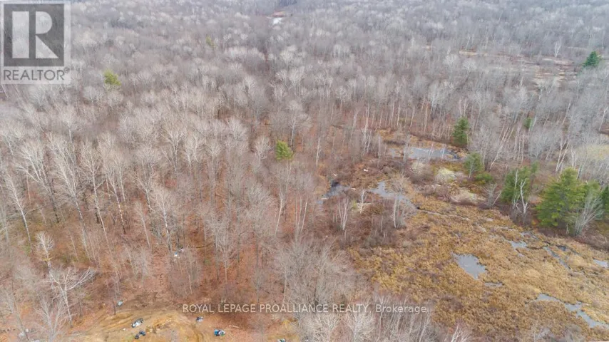 1446 FLINTON ROAD, Tweed (Elzevir (Twp)), Ontario K0H1P0