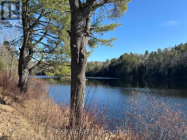 000 OPEONGO ROAD, Madawaska Valley, Ontario K0J2N0