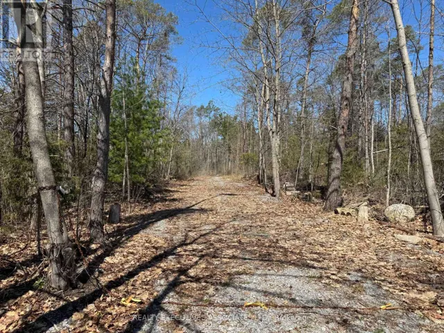 6192 COUNTY RD 50, Trent Hills (Campbellford), Ontario K0L1L0