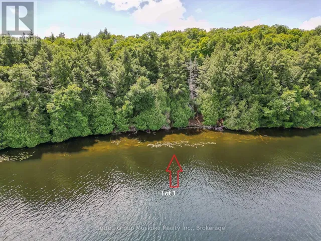 LOT 1 ESIG LANE, Lake of Bays (Sinclair), Ontario P1H2J6
