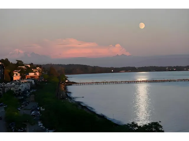 14501 MARINE DRIVE, White Rock, British Columbia V4B1B4