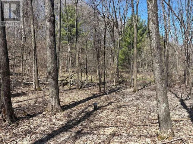 LOT 2 SWEETFERN LANE, Frontenac (Frontenac South), Ontario K0H1H0