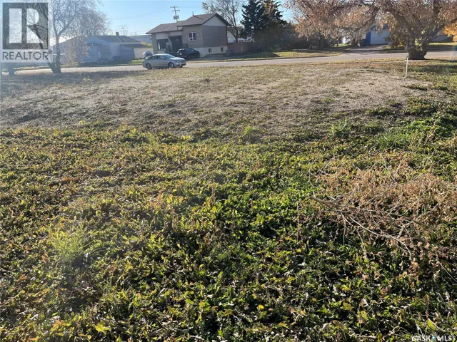 122 & 126 1st STREET NE, Wadena, Saskatchewan S0A4J0