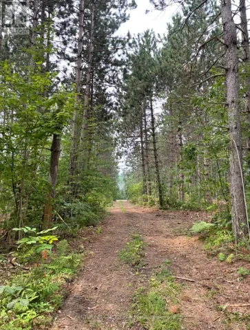 0 GOVERNMENT ROAD, Whitewater Region, Ontario K0J1C0