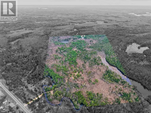 9559 HWY 28, North Kawartha, Ontario K0L1A0