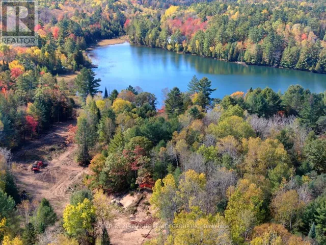 26457 HWY 62 HIGHWAY, Bancroft (Dungannon Ward), Ontario K0L1C0
